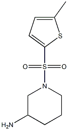 1-[(5-methylthiophene-2-)sulfonyl]piperidin-3-amine 结构式