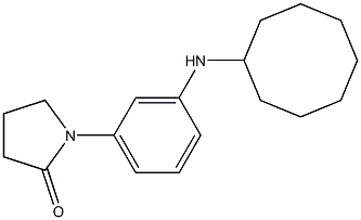 1-[3-(cyclooctylamino)phenyl]pyrrolidin-2-one 结构式
