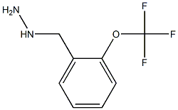 1-{[2-(trifluoromethoxy)phenyl]methyl}hydrazine 结构式