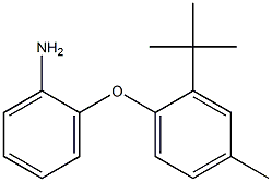 2-(2-tert-butyl-4-methylphenoxy)aniline 结构式