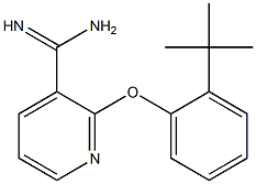 2-(2-tert-butylphenoxy)pyridine-3-carboximidamide 结构式