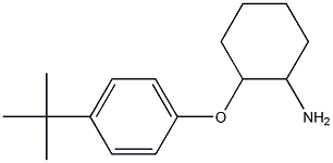 2-(4-tert-butylphenoxy)cyclohexan-1-amine 结构式