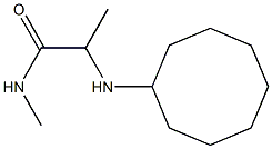 2-(cyclooctylamino)-N-methylpropanamide 结构式