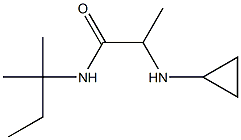 2-(cyclopropylamino)-N-(2-methylbutan-2-yl)propanamide 结构式