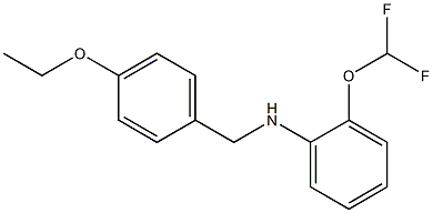 2-(difluoromethoxy)-N-[(4-ethoxyphenyl)methyl]aniline 结构式