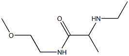 2-(ethylamino)-N-(2-methoxyethyl)propanamide 结构式