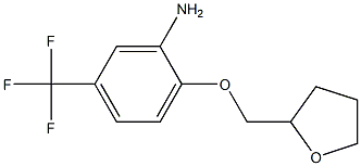 2-(oxolan-2-ylmethoxy)-5-(trifluoromethyl)aniline 结构式