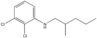 2,3-dichloro-N-(2-methylpentyl)aniline 结构式