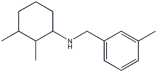 2,3-dimethyl-N-[(3-methylphenyl)methyl]cyclohexan-1-amine 结构式