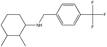 2,3-dimethyl-N-{[4-(trifluoromethyl)phenyl]methyl}cyclohexan-1-amine 结构式