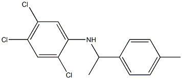 2,4,5-trichloro-N-[1-(4-methylphenyl)ethyl]aniline 结构式