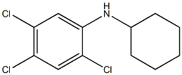2,4,5-trichloro-N-cyclohexylaniline 结构式