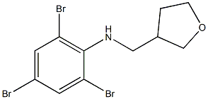 2,4,6-tribromo-N-(oxolan-3-ylmethyl)aniline 结构式