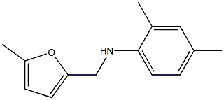 2,4-dimethyl-N-[(5-methylfuran-2-yl)methyl]aniline 结构式