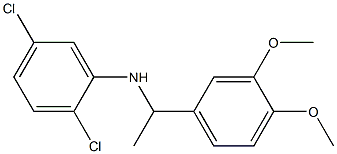 2,5-dichloro-N-[1-(3,4-dimethoxyphenyl)ethyl]aniline 结构式