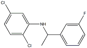 2,5-dichloro-N-[1-(3-fluorophenyl)ethyl]aniline 结构式