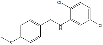 2,5-dichloro-N-{[4-(methylsulfanyl)phenyl]methyl}aniline 结构式