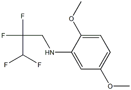 2,5-dimethoxy-N-(2,2,3,3-tetrafluoropropyl)aniline 结构式