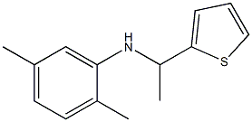 2,5-dimethyl-N-[1-(thiophen-2-yl)ethyl]aniline 结构式
