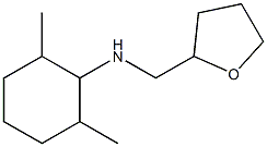 2,6-dimethyl-N-(oxolan-2-ylmethyl)cyclohexan-1-amine 结构式