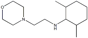 2,6-dimethyl-N-[2-(morpholin-4-yl)ethyl]cyclohexan-1-amine 结构式