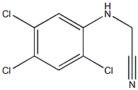 2-[(2,4,5-trichlorophenyl)amino]acetonitrile 结构式