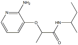 2-[(2-aminopyridin-3-yl)oxy]-N-(butan-2-yl)propanamide 结构式