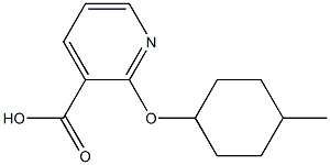 2-[(4-methylcyclohexyl)oxy]pyridine-3-carboxylic acid 结构式