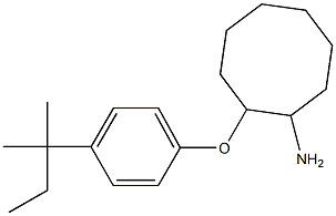 2-[4-(2-methylbutan-2-yl)phenoxy]cyclooctan-1-amine 结构式