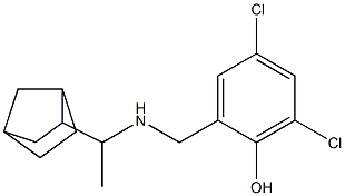 2-{[(1-{bicyclo[2.2.1]heptan-2-yl}ethyl)amino]methyl}-4,6-dichlorophenol 结构式