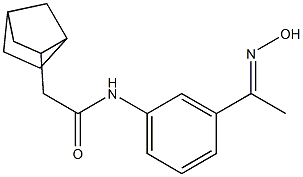 2-{bicyclo[2.2.1]heptan-2-yl}-N-{3-[1-(hydroxyimino)ethyl]phenyl}acetamide 结构式