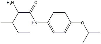 2-amino-3-methyl-N-[4-(propan-2-yloxy)phenyl]pentanamide 结构式