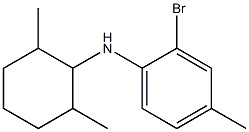 2-bromo-N-(2,6-dimethylcyclohexyl)-4-methylaniline 结构式