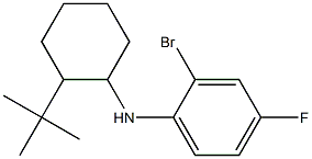 2-bromo-N-(2-tert-butylcyclohexyl)-4-fluoroaniline 结构式