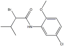 2-bromo-N-(5-chloro-2-methoxyphenyl)-3-methylbutanamide 结构式