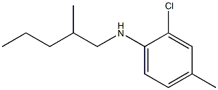 2-chloro-4-methyl-N-(2-methylpentyl)aniline 结构式