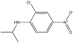 2-chloro-4-nitro-N-(propan-2-yl)aniline 结构式