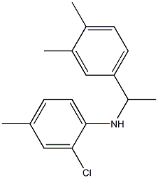 2-chloro-N-[1-(3,4-dimethylphenyl)ethyl]-4-methylaniline 结构式