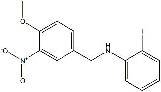 2-iodo-N-[(4-methoxy-3-nitrophenyl)methyl]aniline 结构式