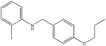 2-iodo-N-[(4-propoxyphenyl)methyl]aniline 结构式