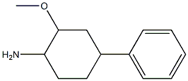 2-methoxy-4-phenylcyclohexanamine 结构式