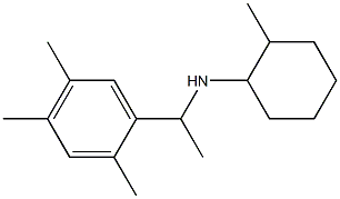 2-methyl-N-[1-(2,4,5-trimethylphenyl)ethyl]cyclohexan-1-amine 结构式