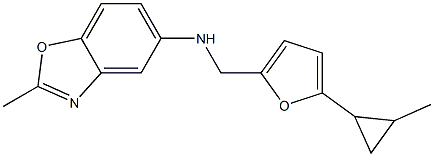 2-methyl-N-{[5-(2-methylcyclopropyl)furan-2-yl]methyl}-1,3-benzoxazol-5-amine 结构式