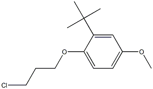 2-tert-butyl-1-(3-chloropropoxy)-4-methoxybenzene 结构式