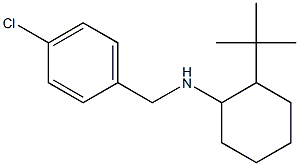2-tert-butyl-N-[(4-chlorophenyl)methyl]cyclohexan-1-amine 结构式