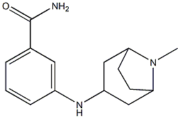 3-({8-methyl-8-azabicyclo[3.2.1]octan-3-yl}amino)benzamide 结构式