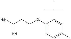 3-(2-tert-butyl-4-methylphenoxy)propanimidamide 结构式