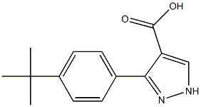 3-(4-tert-butylphenyl)-1H-pyrazole-4-carboxylic acid 结构式