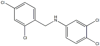 3,4-dichloro-N-[(2,4-dichlorophenyl)methyl]aniline 结构式