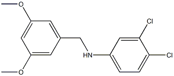 3,4-dichloro-N-[(3,5-dimethoxyphenyl)methyl]aniline 结构式